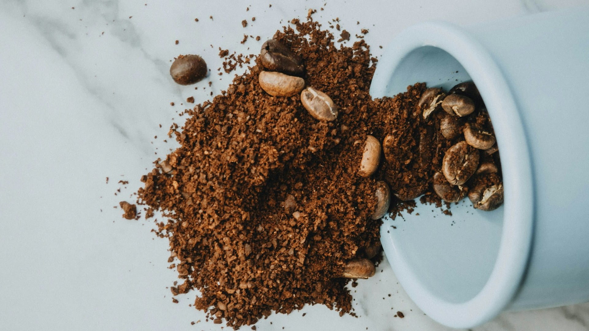Кофе сорта Арабика: происхождение, особенности, химический состав и вкусовые характеристики